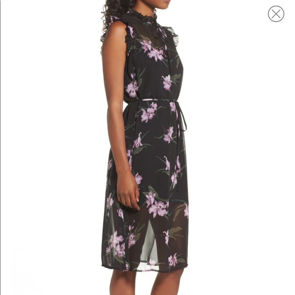 NWT BB Dakota Sarah Sheer Floral Ruffle Dress XS - Picture 9 of 16